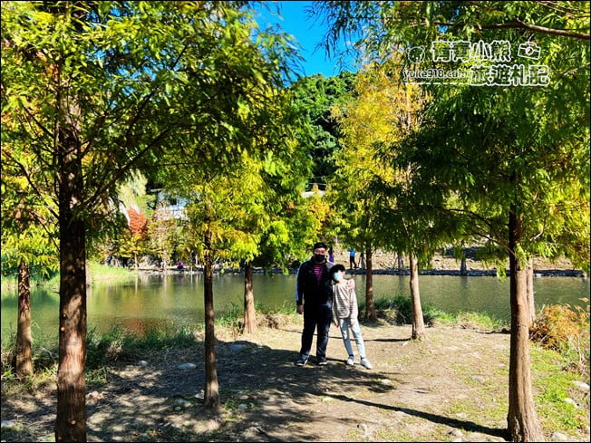 桃園景點》大溪月眉人工溼地生態公園~落羽松秘境,天空之鏡賞景去 @青青小熊*旅遊札記 桃園景點》大溪月眉人工溼地生態公園~落羽松秘境,天空之鏡賞景去 @青青小熊*旅遊札記