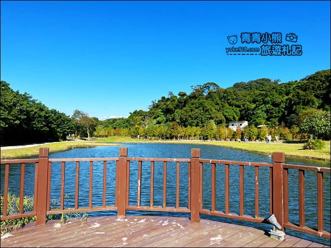 桃園景點》大溪月眉人工溼地生態公園~落羽松秘境,天空之鏡賞景去 @青青小熊*旅遊札記