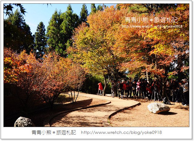 福壽山賞楓》福壽山賞楓一日行~台灣賞楓必去景點 @青青小熊＊旅遊札記