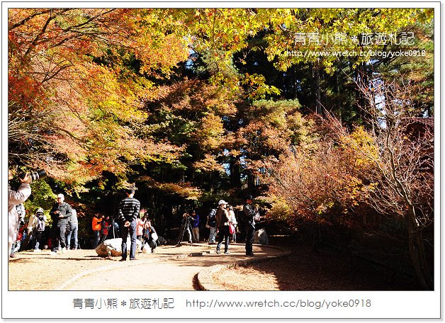 福壽山賞楓》福壽山賞楓一日行~台灣賞楓必去景點 @青青小熊＊旅遊札記