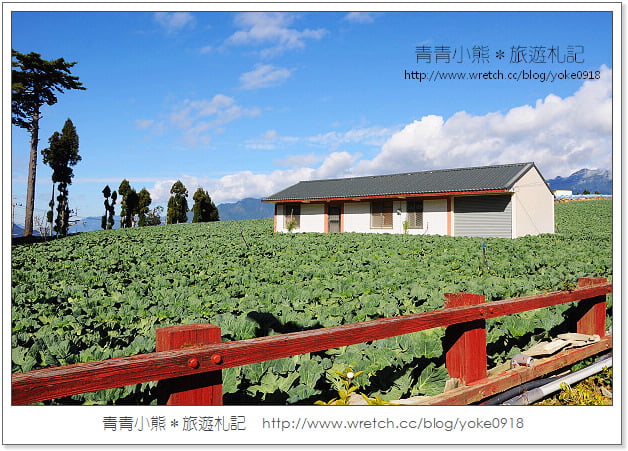福壽山賞楓》福壽山賞楓一日行~台灣賞楓必去景點 @青青小熊＊旅遊札記