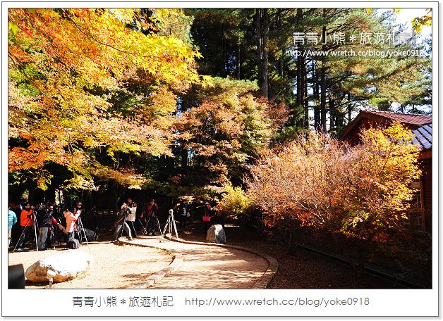 福壽山賞楓》福壽山賞楓一日行~台灣賞楓必去景點 @青青小熊＊旅遊札記