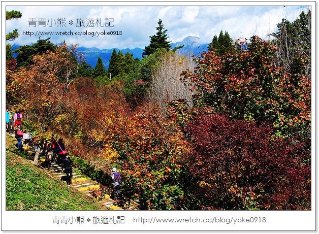 福壽山賞楓》福壽山賞楓一日行~台灣賞楓必去景點 @青青小熊＊旅遊札記