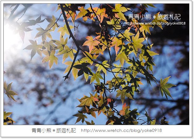 福壽山賞楓》福壽山賞楓一日行~台灣賞楓必去景點 @青青小熊＊旅遊札記