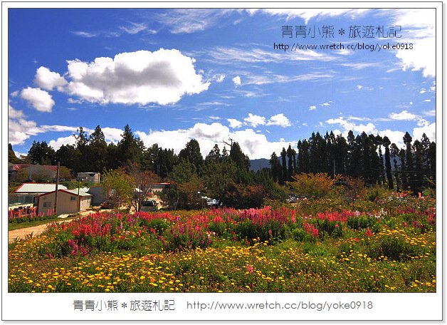 福壽山賞楓》福壽山賞楓一日行~台灣賞楓必去景點 @青青小熊＊旅遊札記