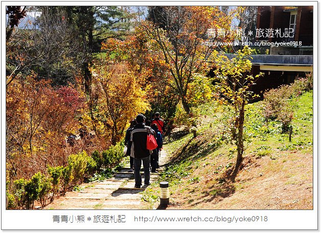 福壽山賞楓》福壽山賞楓一日行~台灣賞楓必去景點 @青青小熊＊旅遊札記
