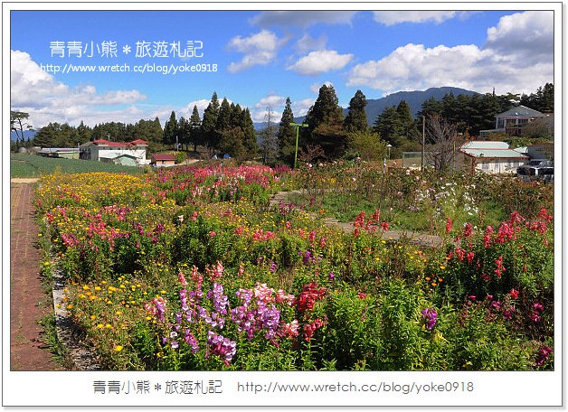 福壽山賞楓》福壽山賞楓一日行~台灣賞楓必去景點 @青青小熊＊旅遊札記