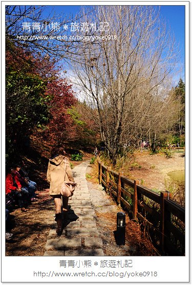 福壽山賞楓》福壽山賞楓一日行~台灣賞楓必去景點 @青青小熊＊旅遊札記