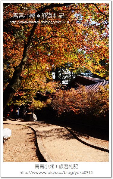 福壽山賞楓》福壽山賞楓一日行~台灣賞楓必去景點 @青青小熊＊旅遊札記