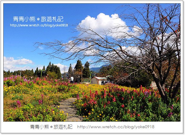 福壽山賞楓》福壽山賞楓一日行~台灣賞楓必去景點 @青青小熊＊旅遊札記