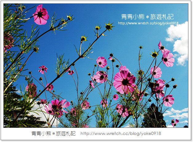 福壽山賞楓》福壽山賞楓一日行~台灣賞楓必去景點 @青青小熊＊旅遊札記