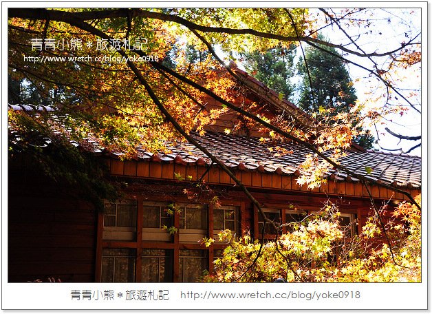 福壽山賞楓》福壽山賞楓一日行~台灣賞楓必去景點 @青青小熊＊旅遊札記
