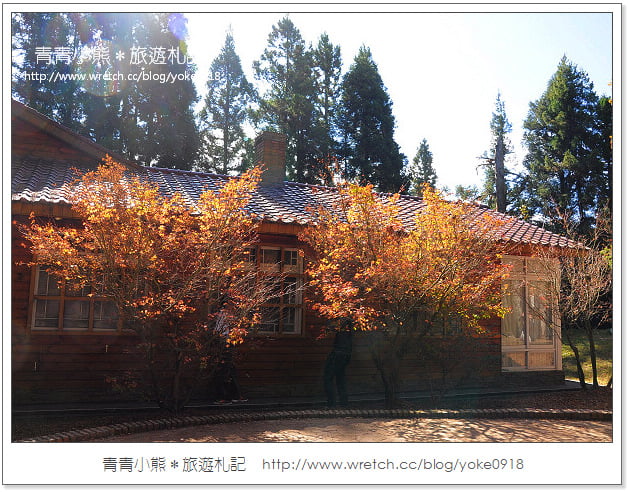 福壽山賞楓》福壽山賞楓一日行~台灣賞楓必去景點 @青青小熊＊旅遊札記