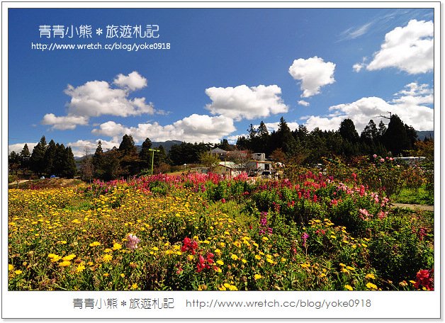 福壽山賞楓》福壽山賞楓一日行~台灣賞楓必去景點 @青青小熊＊旅遊札記
