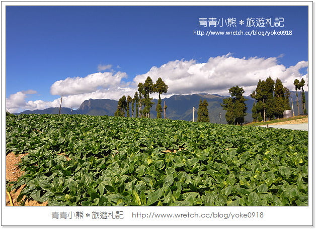 福壽山賞楓》福壽山賞楓一日行~台灣賞楓必去景點 @青青小熊＊旅遊札記