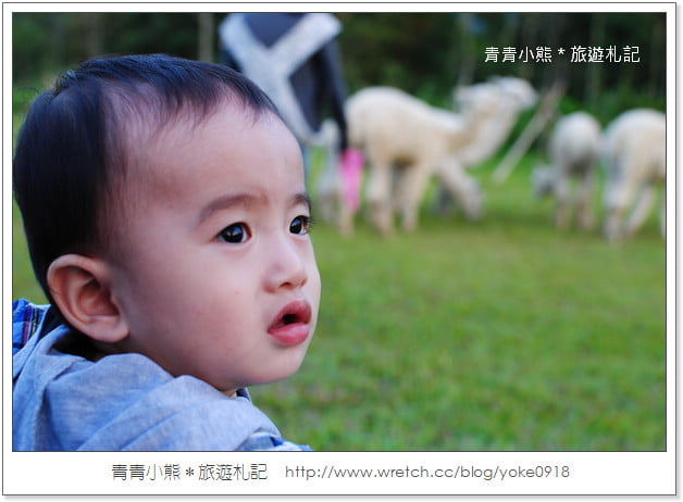 家有一小如有一寶~迷你熊滿週歲囉! @青青小熊*旅遊札記