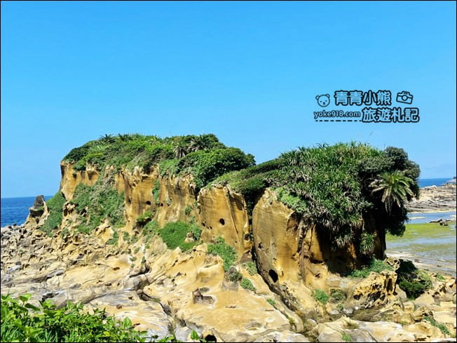 基隆景點》和平島公園.可以上山可以下海~還可以在軍營裡喝咖啡 @青青小熊*旅遊札記 基隆景點》和平島公園.可以上山可以下海~還可以在軍營裡喝咖啡 @青青小熊*旅遊札記