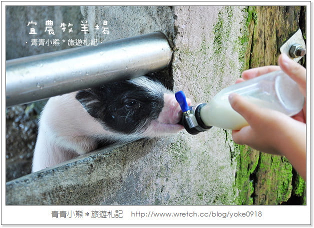 宜蘭親子景點》來宜蘭溜小孩．20個以上景點，一起遊觀光工廠.戶外景點.玩水 @青青小熊＊旅遊札記