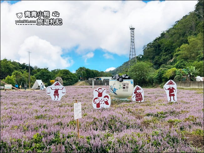 苗栗景點》苗栗獅潭仙草花季．紫色浪漫來襲~2021最新花況 @青青小熊＊旅遊札記