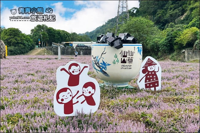 苗栗景點》苗栗獅潭仙草花季．紫色浪漫來襲~2021最新花況 @青青小熊＊旅遊札記