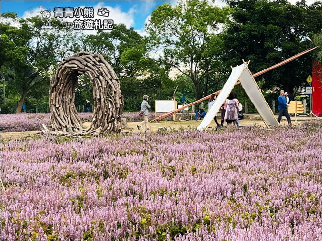 苗栗景點》苗栗獅潭仙草花季．紫色浪漫來襲~2021最新花況 @青青小熊＊旅遊札記