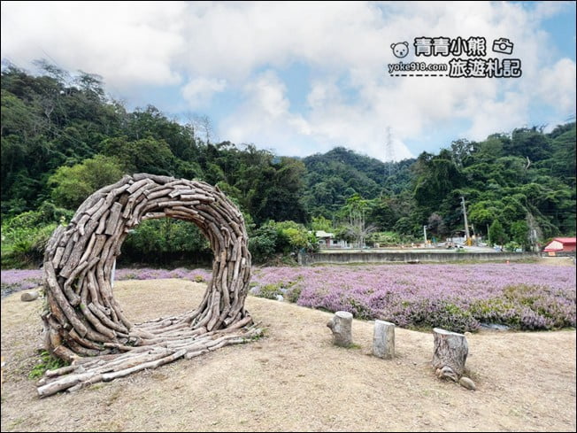 苗栗景點》苗栗獅潭仙草花季．紫色浪漫來襲~2021最新花況 @青青小熊＊旅遊札記
