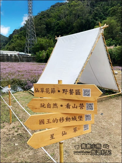 苗栗景點》苗栗獅潭仙草花季．紫色浪漫來襲~2021最新花況 @青青小熊＊旅遊札記