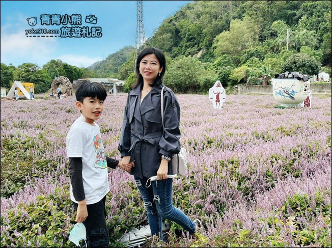 苗栗景點》苗栗獅潭仙草花季．紫色浪漫來襲~2021最新花況 @青青小熊＊旅遊札記