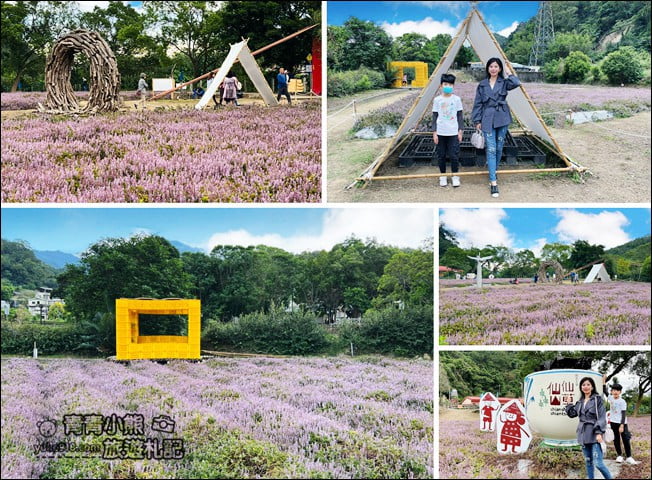 苗栗景點》苗栗獅潭仙草花季．紫色浪漫來襲~2021最新花況 @青青小熊＊旅遊札記