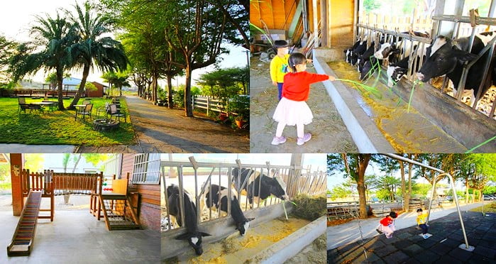 彰化景點》泳霖牧場．免費入園~可以餵小牛互動體驗，還有好吃的乳製品 @青青小熊＊旅遊札記
