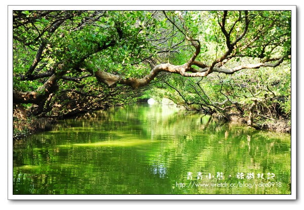 台南旅遊景點》一日遊行程景點~台南．四草綠色隧道 @青青小熊＊旅遊札記