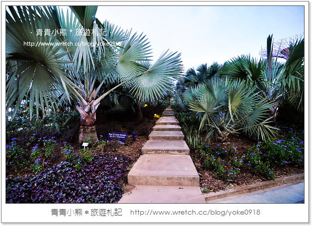 新加坡自由行景點》濱海灣公園Gardens By the Bay-super tree~美麗天空樹 @青青小熊＊旅遊札記