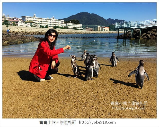 長崎旅遊》長崎企鵝水族館．企鵝遊行/餵食秀體驗~超好玩 @青青小熊＊旅遊札記