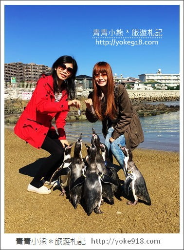 長崎旅遊》長崎企鵝水族館.企鵝遊行/餵食秀體驗~超好玩 @青青小熊*旅遊札記 長崎旅遊》長崎企鵝水族館.企鵝遊行/餵食秀體驗~超好玩 @青青小熊*旅遊札記