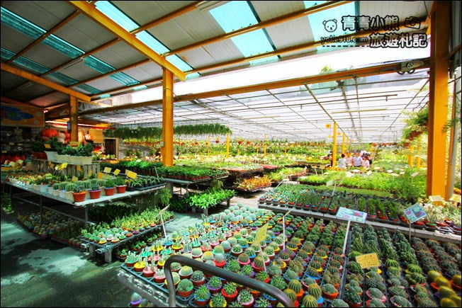 彰化景點》窄巷古厝咖啡.穿越時空,尋找隱藏在鳳凰花園裡的復古咖啡廳 @青青小熊*旅遊札記 彰化景點》窄巷古厝咖啡.穿越時空,尋找隱藏在鳳凰花園裡的復古咖啡廳 @青青小熊*旅遊札記