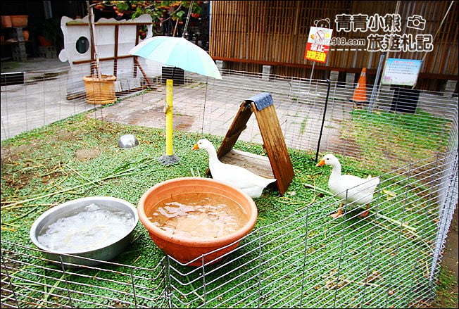彰化景點》埔茂花市．免門票親子景點~逛園藝、還有沙坑.溜滑梯.DIY可以玩 @青青小熊＊旅遊札記