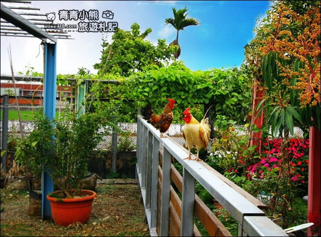 彰化景點》埔茂花市.免門票親子景點~逛園藝、還有沙坑.溜滑梯.DIY可以玩 @青青小熊*旅遊札記 彰化景點》埔茂花市.免門票親子景點~逛園藝、還有沙坑.溜滑梯.DIY可以玩 @青青小熊*旅遊札記