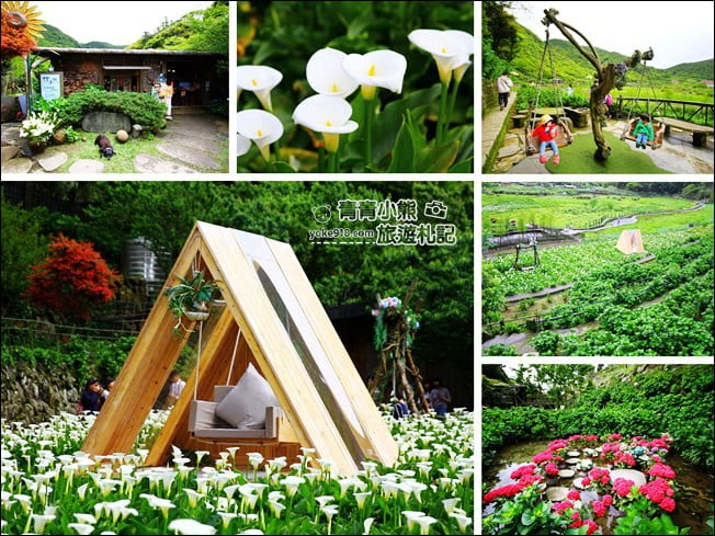 台北景點》名陽匍休閒農莊.來去陽明山賞海芋、還有唯美小木屋、盪鞦韆 @青青小熊*旅遊札記 台北景點》名陽匍休閒農莊.來去陽明山賞海芋、還有唯美小木屋、盪鞦韆 @青青小熊*旅遊札記