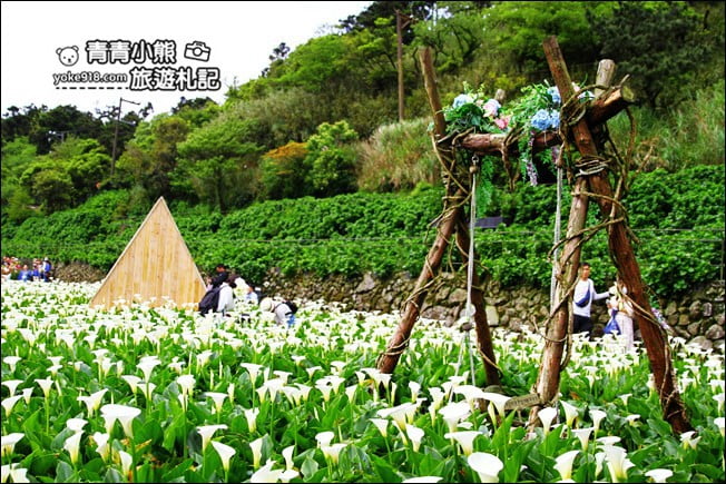 台北景點》名陽匍休閒農莊.來去陽明山賞海芋、還有唯美小木屋、盪鞦韆 @青青小熊*旅遊札記 台北景點》名陽匍休閒農莊.來去陽明山賞海芋、還有唯美小木屋、盪鞦韆 @青青小熊*旅遊札記