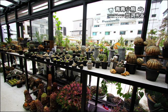 台中南屯新景點》酉 x 5pm結合綠色植物、景觀設計~玻璃屋下午茶 @青青小熊*旅遊札記 台中南屯新景點》酉 x 5pm結合綠色植物、景觀設計~玻璃屋下午茶 @青青小熊*旅遊札記