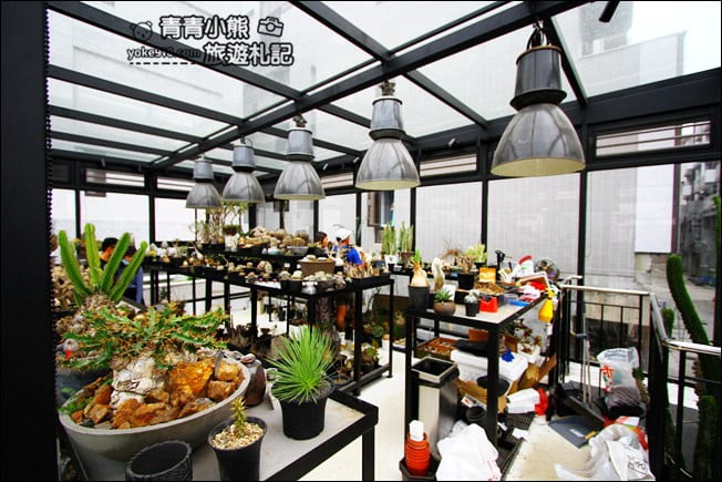 台中南屯新景點》酉 x 5pm結合綠色植物、景觀設計~玻璃屋下午茶 @青青小熊*旅遊札記 台中南屯新景點》酉 x 5pm結合綠色植物、景觀設計~玻璃屋下午茶 @青青小熊*旅遊札記