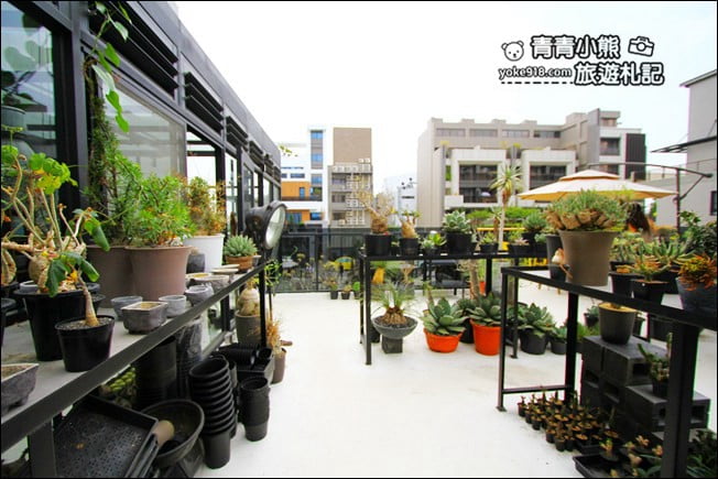 台中南屯新景點》酉 x 5pm結合綠色植物、景觀設計~玻璃屋下午茶 @青青小熊*旅遊札記 台中南屯新景點》酉 x 5pm結合綠色植物、景觀設計~玻璃屋下午茶 @青青小熊*旅遊札記