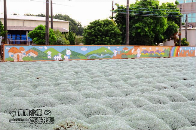 雲林》虎尾景點一日遊.日式鳥居、稻草捲心酥、IG打卡亮點,虎尾這些地方也好玩 @青青小熊*旅遊札記 雲林》虎尾景點一日遊.日式鳥居、稻草捲心酥、IG打卡亮點,虎尾這些地方也好玩 @青青小熊*旅遊札記