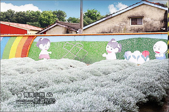 雲林虎尾》雪白波波草田.IG打卡推薦,好像撒上糖霜的波波草 @青青小熊*旅遊札記 雲林虎尾》雪白波波草田.IG打卡推薦,好像撒上糖霜的波波草 @青青小熊*旅遊札記