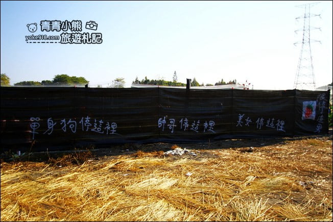 彰化景點》田尾草莓幼幼班.採草莓、溜小孩~田尾親子景點推薦 @青青小熊*旅遊札記 彰化景點》田尾草莓幼幼班.採草莓、溜小孩~田尾親子景點推薦 @青青小熊*旅遊札記