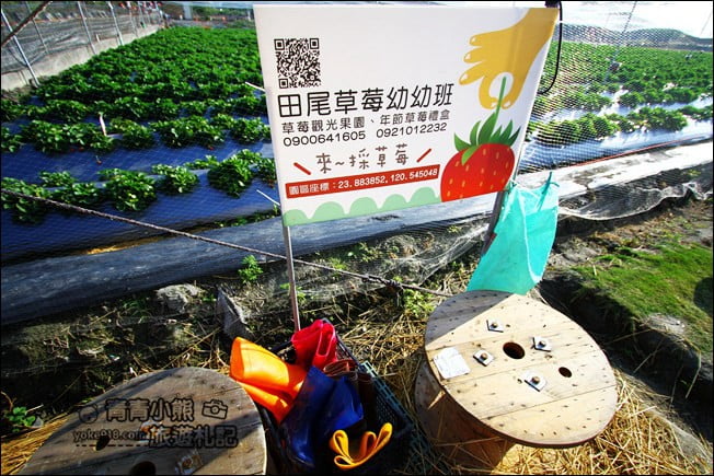 彰化景點》田尾草莓幼幼班．採草莓、溜小孩~田尾親子景點推薦 @青青小熊＊旅遊札記