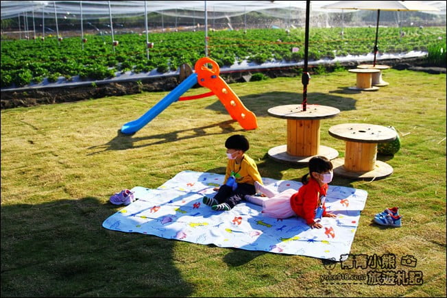 彰化景點》田尾草莓幼幼班.採草莓、溜小孩~田尾親子景點推薦 @青青小熊*旅遊札記 彰化景點》田尾草莓幼幼班.採草莓、溜小孩~田尾親子景點推薦 @青青小熊*旅遊札記