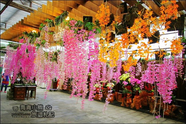 台中后里景點》萌芳花卉農場．粉嫩的石斛蘭綻放中~免費賞花景點推薦 @青青小熊＊旅遊札記