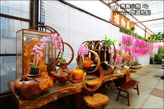 台中后里景點》萌芳花卉農場.粉嫩的石斛蘭綻放中~免費賞花景點推薦 @青青小熊*旅遊札記 台中后里景點》萌芳花卉農場.粉嫩的石斛蘭綻放中~免費賞花景點推薦 @青青小熊*旅遊札記
