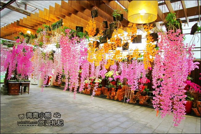 台中后里景點》萌芳花卉農場.粉嫩的石斛蘭綻放中~免費賞花景點推薦 @青青小熊*旅遊札記 台中后里景點》萌芳花卉農場.粉嫩的石斛蘭綻放中~免費賞花景點推薦 @青青小熊*旅遊札記
